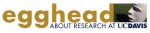 medium_egghead_masthead.jpg