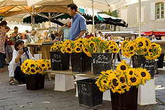 4317354712_993c05132d_m