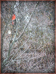 4336201148_e66ac0db54_m