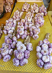 9255775520_2101d29187_m