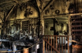 461240381_4a57e4f032_o